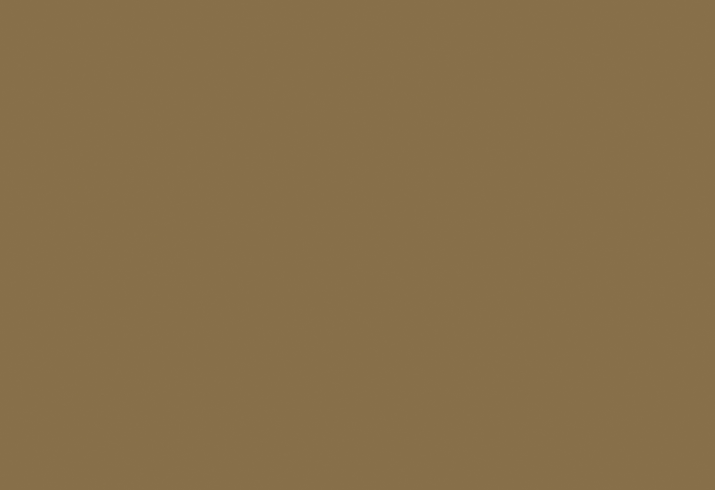 HS1104_Chocolate_Mouse